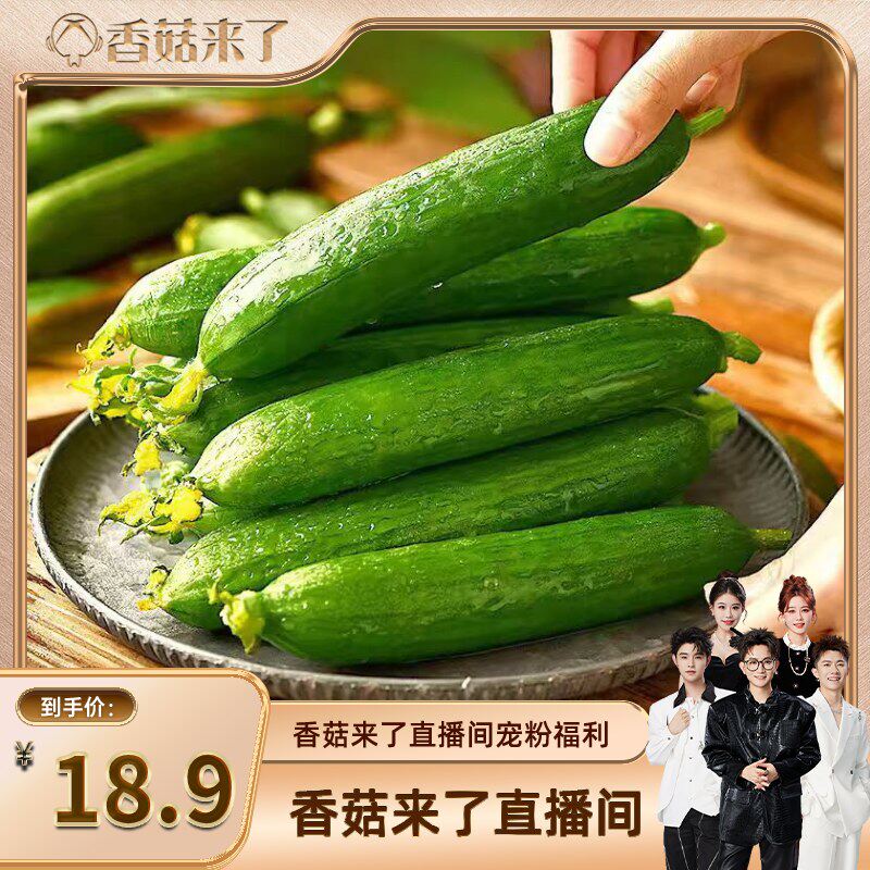 【香菇来了】新鲜水果黄瓜清新脆爽春季尝鲜生吃小黄瓜沙拉