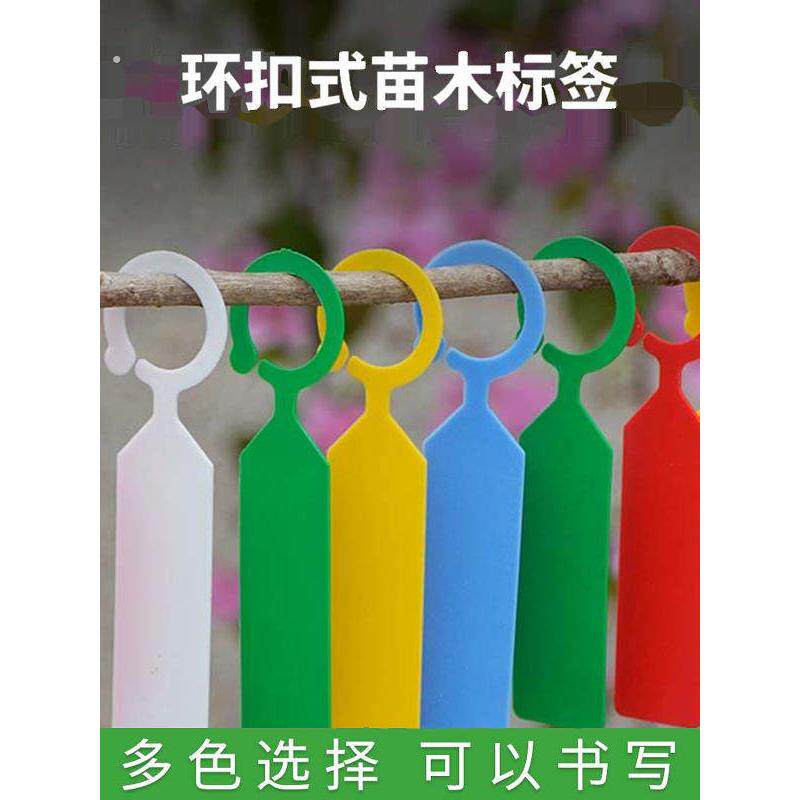 园艺标签牌环扣塑料防水苗木葡萄果树授粉标记藤曼分类色卡悬挂式