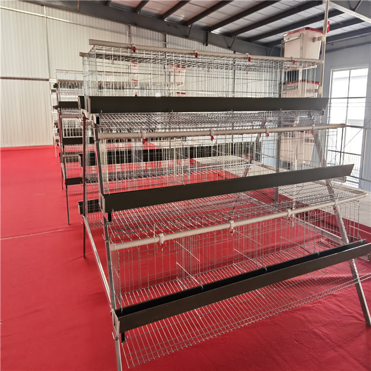 家用连排鸡笼铁丝网可拆卸批发