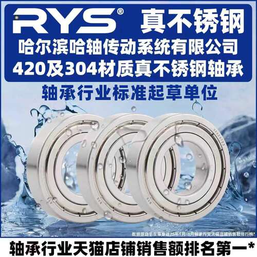 RYS 不锈钢轴承 6306 6307 6308 6309 6310 6311 ZZ 440 304材质
