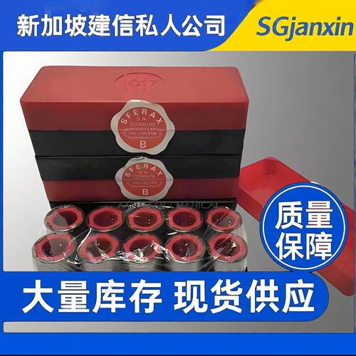 瑞士进口SFERAX高温直线GBL125175A 150200XA RE612XA RE815B轴承