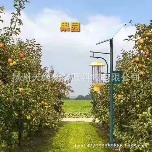 太阳能频振全自动诱虫杀虫灯