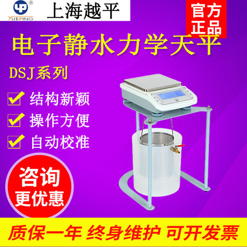 上海越平DSJ-2静水力学天平