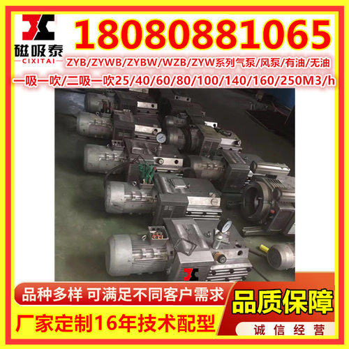 镇江ZYBW60E无油真空气泵