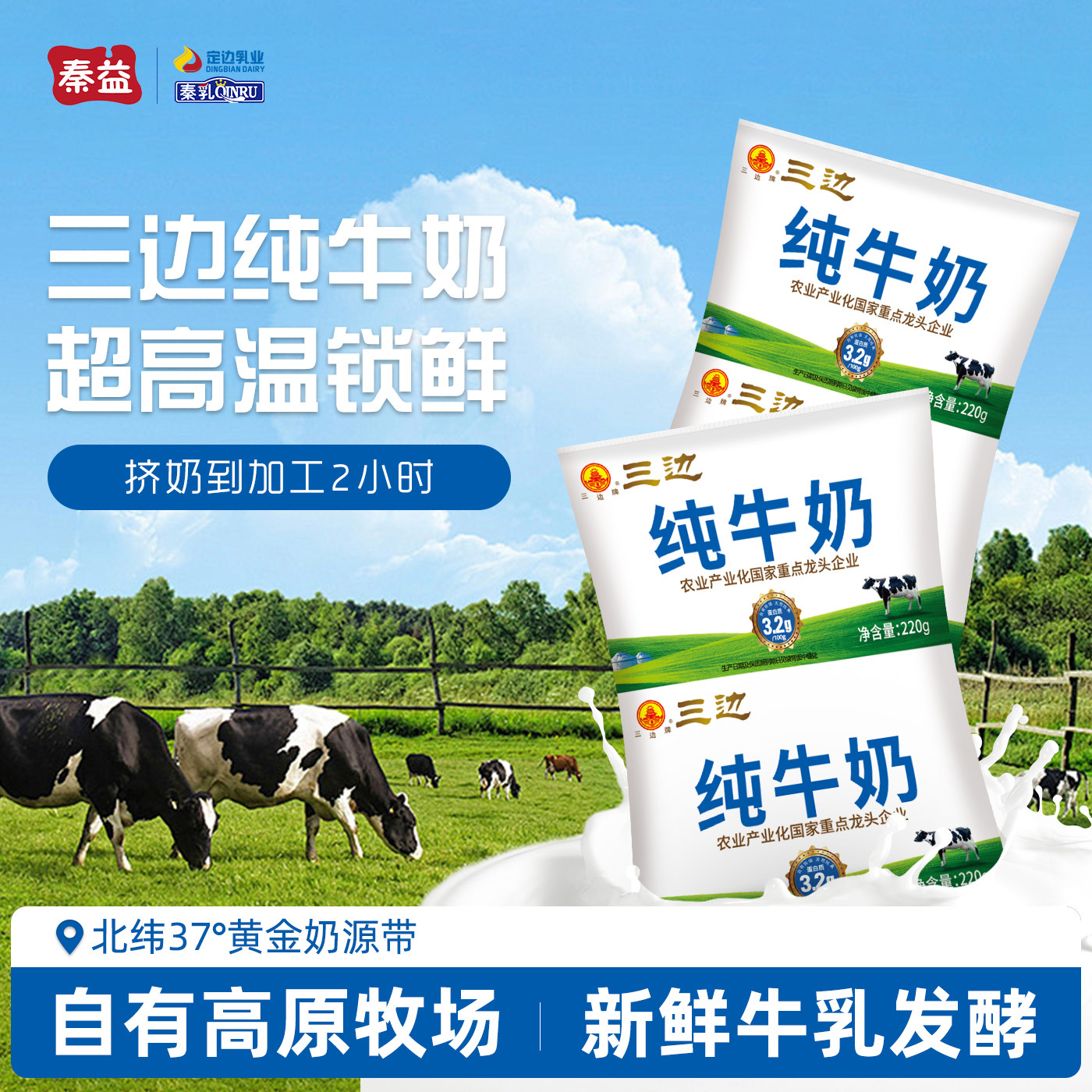 秦益纯牛奶健康营养牛奶整箱袋装220g*16袋常温早餐原味鲜牛奶
