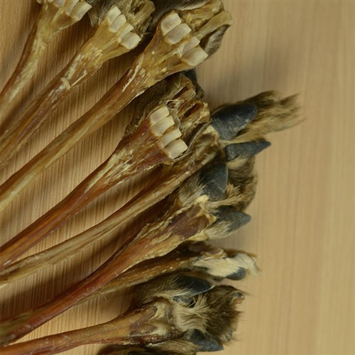 鹿筋干货带蹄新鲜搭鹿茸鹿鞭鹿茸血鹿茸片鹿筋粉泡酒东北梅花鹿筋