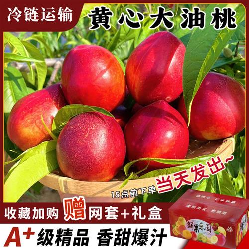 黄心油桃当季孕妇补血水果时令蟠桃新鲜5月应季毛桃脆桃5斤大桃子