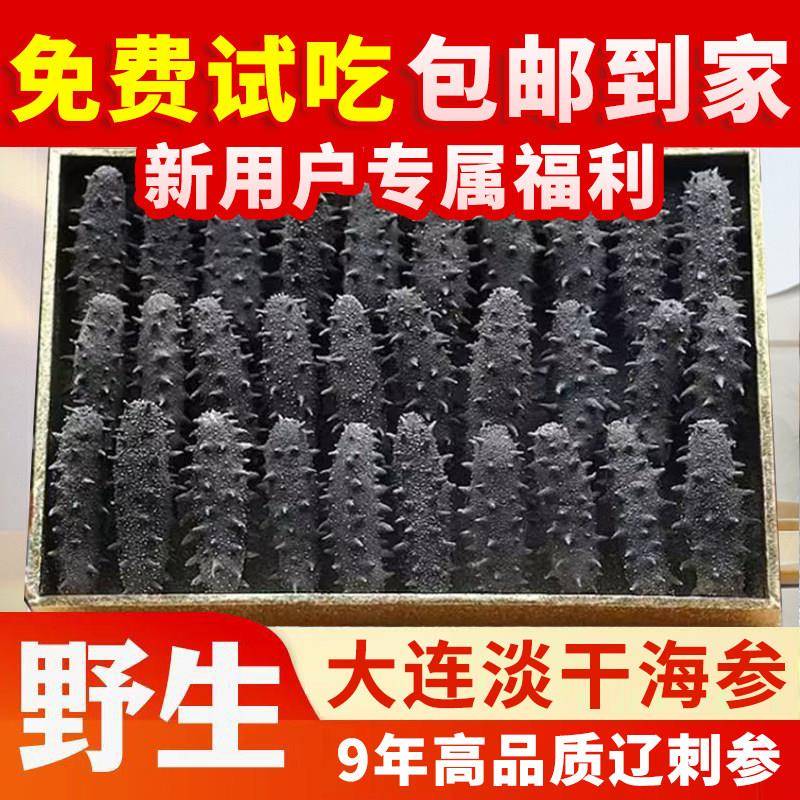 大连淡干野生海参纯干货刺参辽参500克非即食鲜活海参礼盒