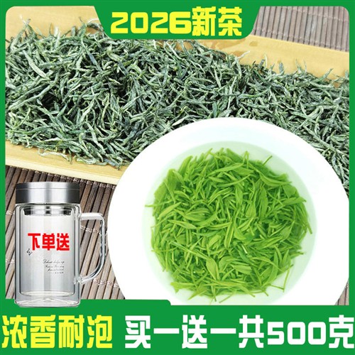 500g信阳毛尖茶叶2026春茶雨前新茶嫩芽叶浓香型自产自销散装绿茶