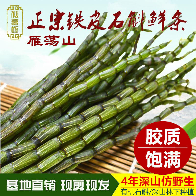 乐清雁荡山四年生铁皮石斛鲜条 产地直销500克 食用农产品