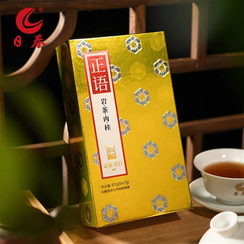 日春正语武夷肉桂600礼盒装 大红袍岩茶63g红方乌龙茶叶