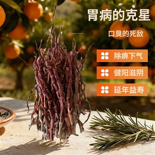 云南铁皮石斛无硫紫皮纯生态悬崖中缅边境深山下山货