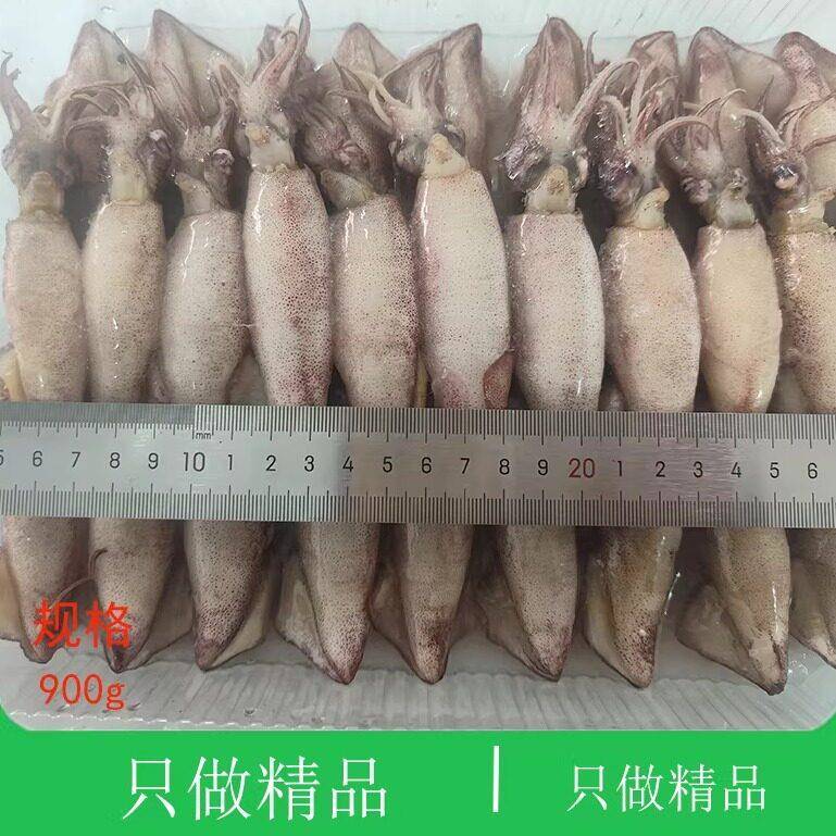 大连海鲜满籽墨鱼仔冷冻母笔管鱼全籽乌贼带籽原籽小鱿鱼籽乌海兔