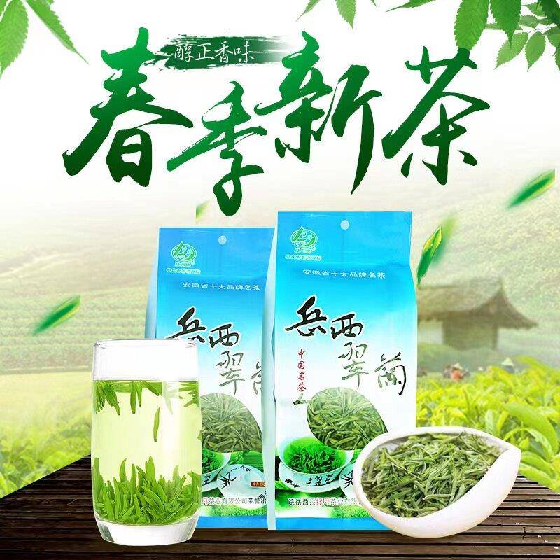 绿月2025明前新茶岳西翠兰50g袋装特级绿茶炒青高山云雾茶爽口