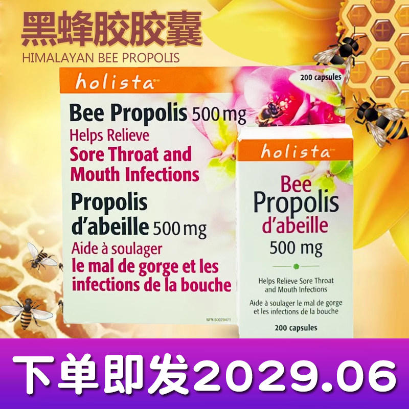 新包装 加拿大Holista Bee Propolis黑蜂胶软胶囊500mg*200粒