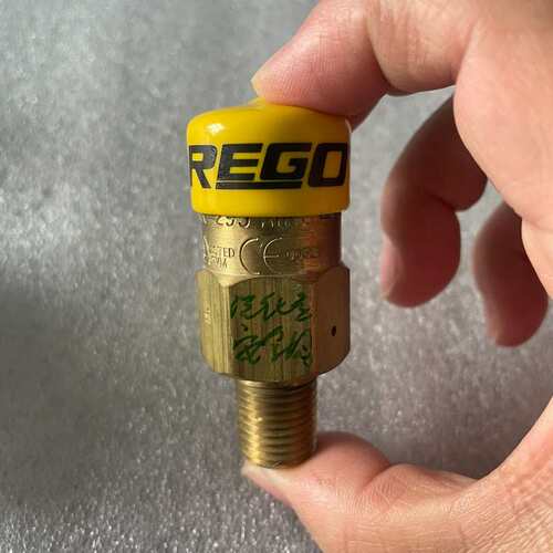 议价REGO安全阀NO.3127G3131G3132G