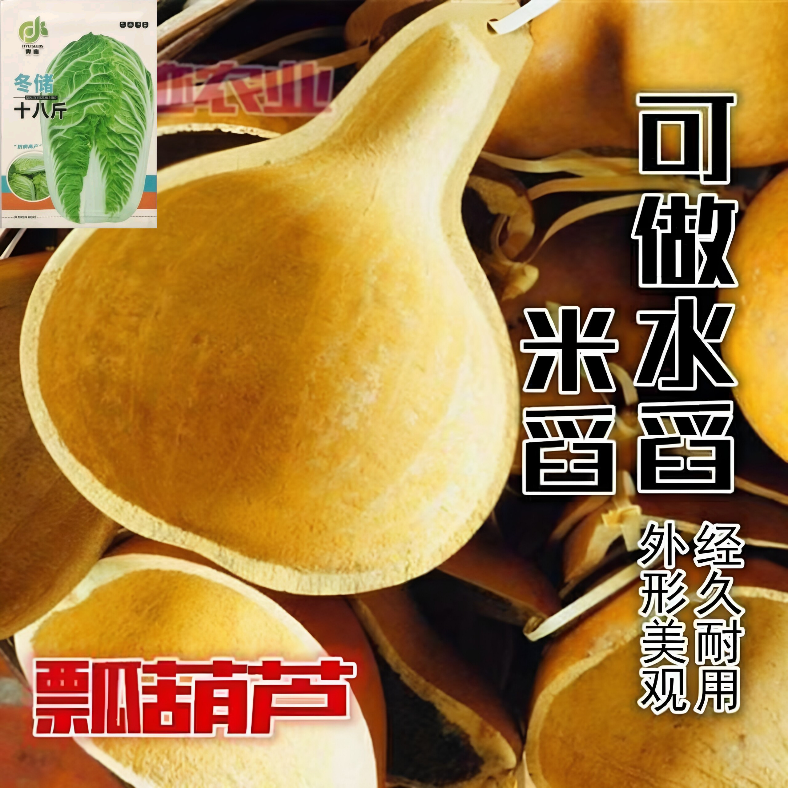 食用菜葫芦种子超大菜葫芦种子瓢葫芦种子可以做水瓢食用葫芦种子