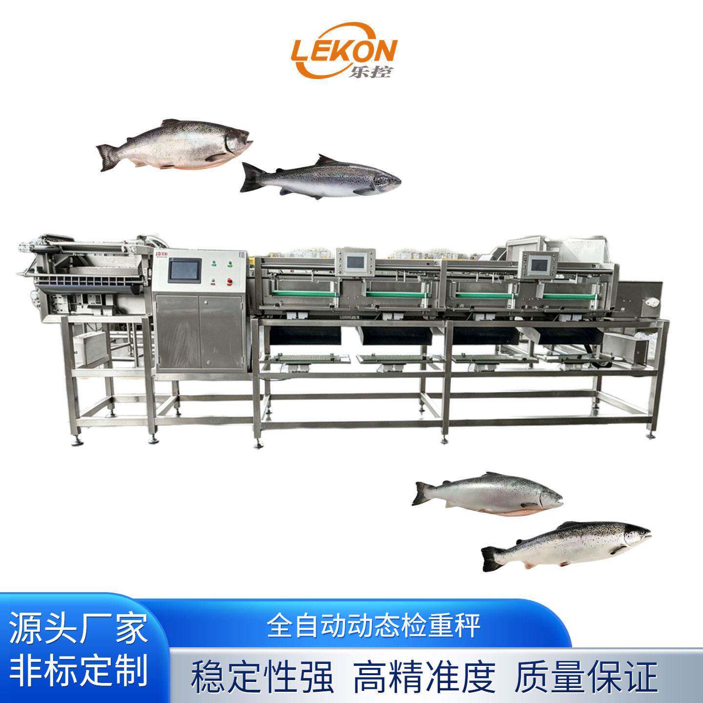 三文鱼水产称重分拣设备肉禽海鲜皮带选别称带式重量多级分选机