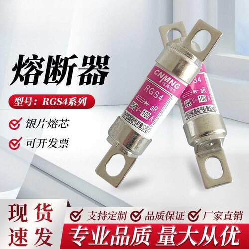 RGS4 AC690V快速熔断器RS308-HB/660GH/EV88/RSG100A