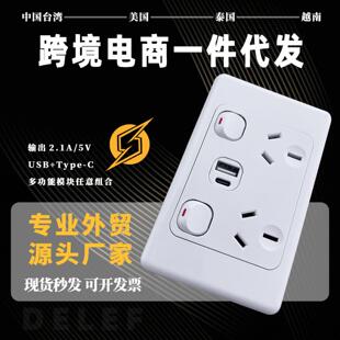 澳标SAA认证墙壁开关澳洲新西兰工程10A1澳规USBtype-C快充