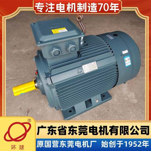 东莞电机东莞环球电机三相电动机YE3-315L1-4-160W/380V国标B3B5