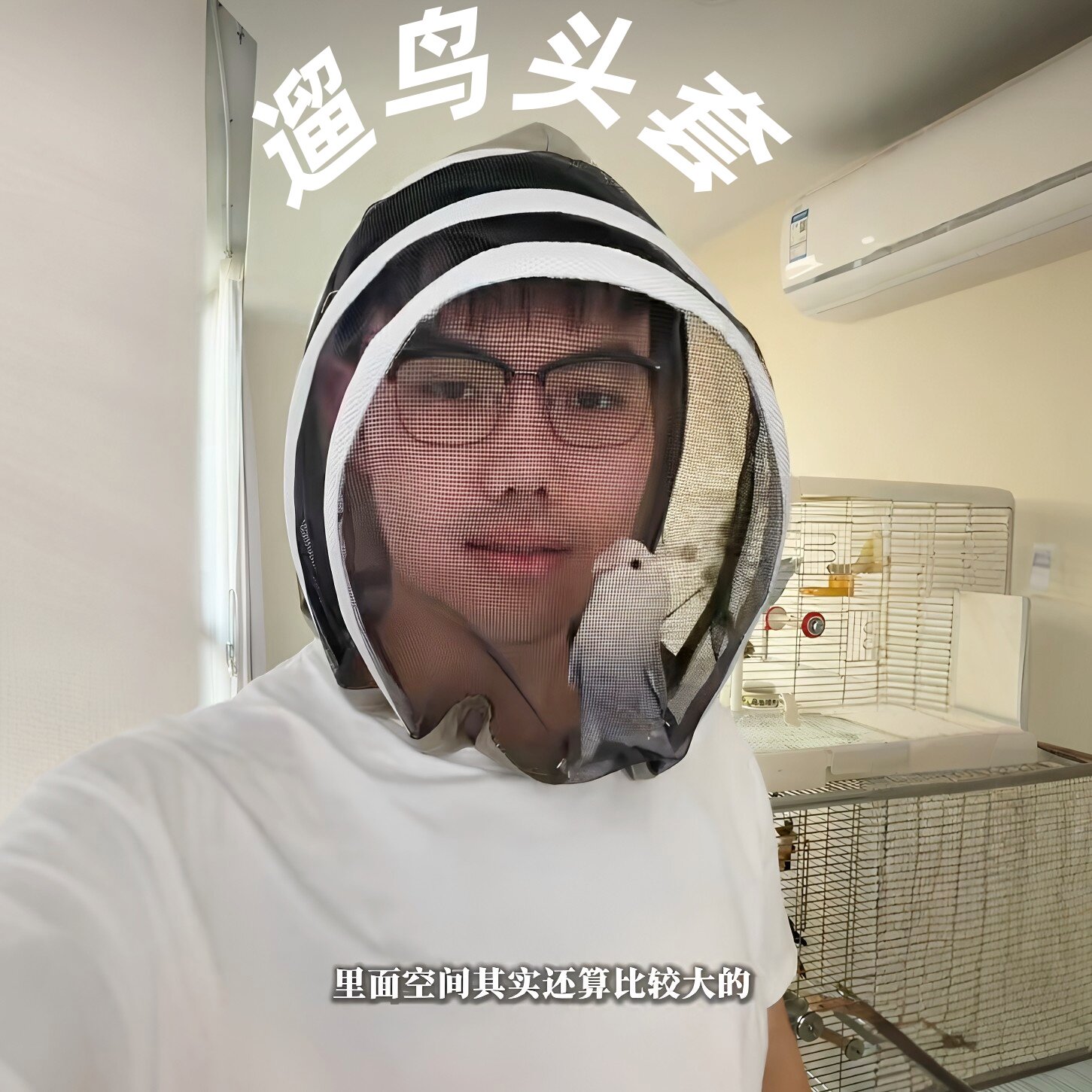遛鸟神器！透气网纱养蜂人帽子鹦鹉遛鸟头套外出防鸟飞防护面罩