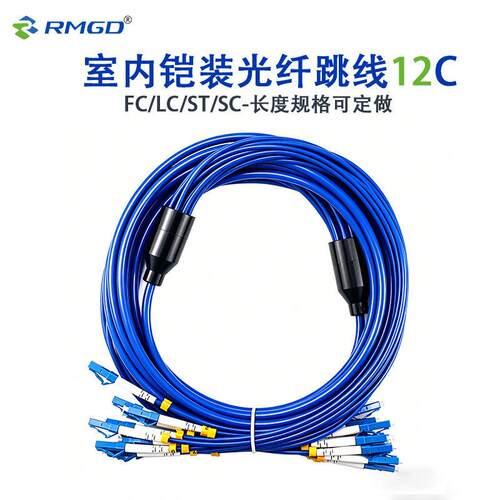 电信级室防鼠咬阻燃室内铠装模SC/FC/ST/LC-12芯光纤跳线