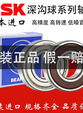 正宗进口NSK轴承6213 6214 6215 6216 6217 6218 6219ZZCM DDU C3
