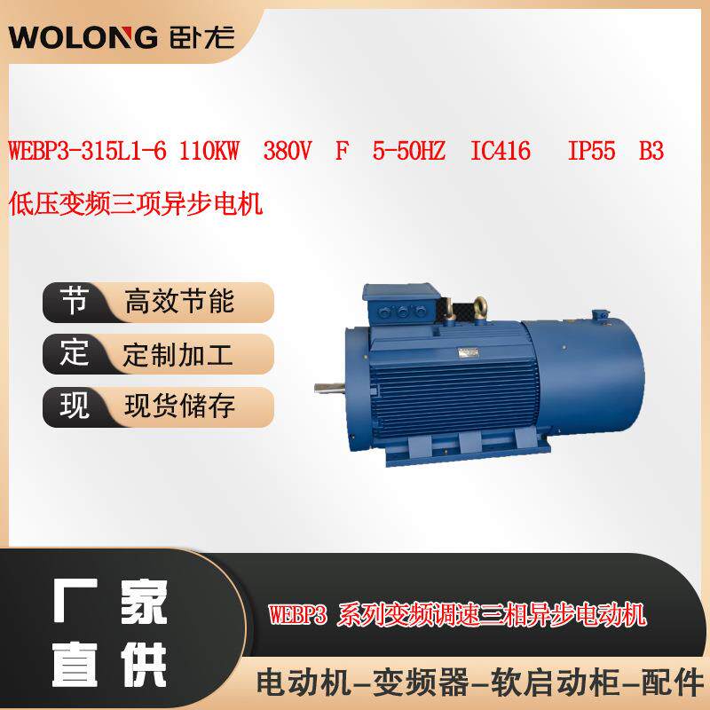 WEBP3-315L1-6110W380VF5-50HZIC416IP55B3