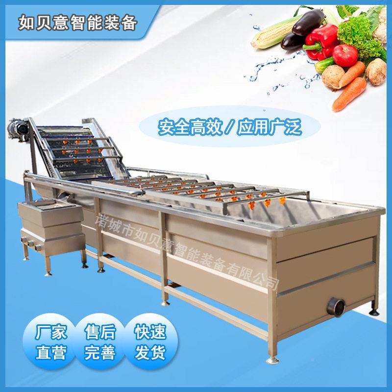 厂家供 应清菠蜜清洗机 全自动木瓜气泡清洗机芭萝RBY乐气泡洗机