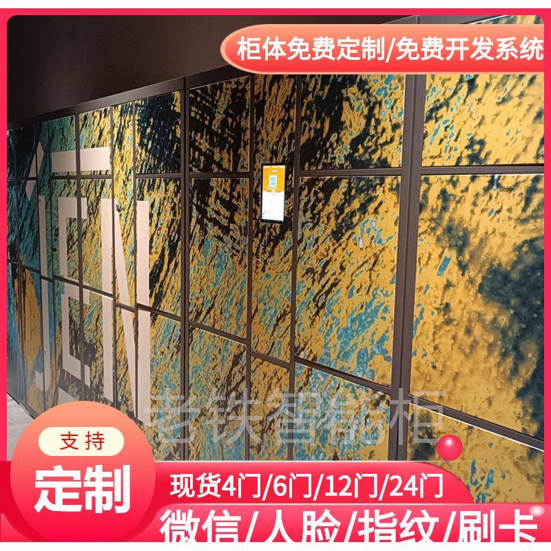 带显示屏主机智能指纹识别储物柜/12门共享寄存柜/图书馆存包柜子