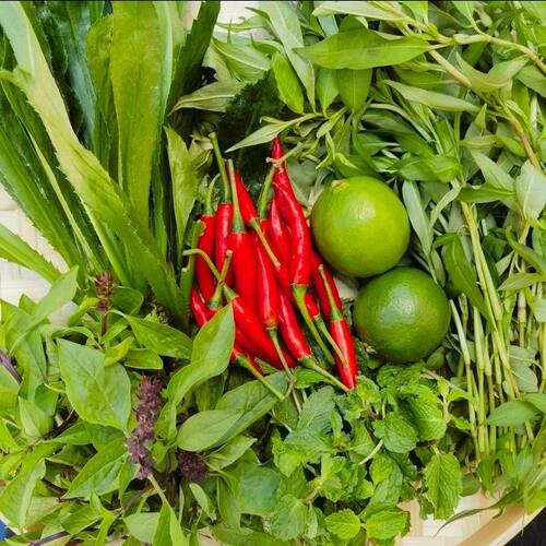 云南德宏新鲜佐料芫荽香菜500g