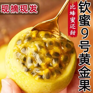 海南钦蜜9号黄金百香果新鲜水果当季 整箱热情果 下单立减50
