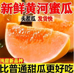 【下单立减50】2026年头茬陕西黄河蜜瓜当季新鲜香瓜多汁沙地