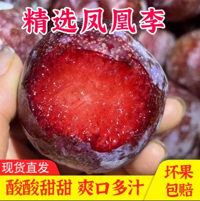 【下单立减50】凤凰李红肉李子血丝李恐龙蛋当季新鲜酸甜