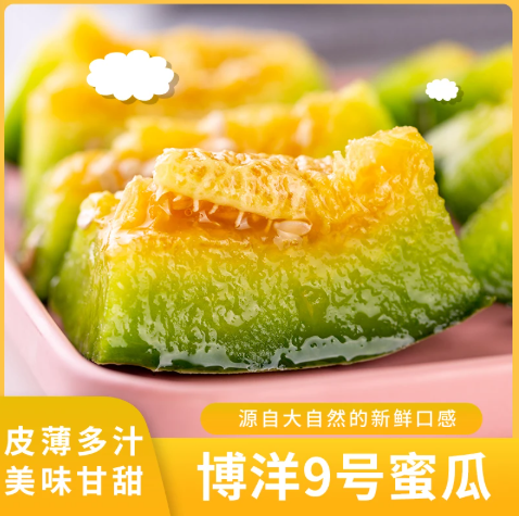 【下单立减50】山东头茬博洋9号蜜甜瓜新鲜香甜现摘现发水果