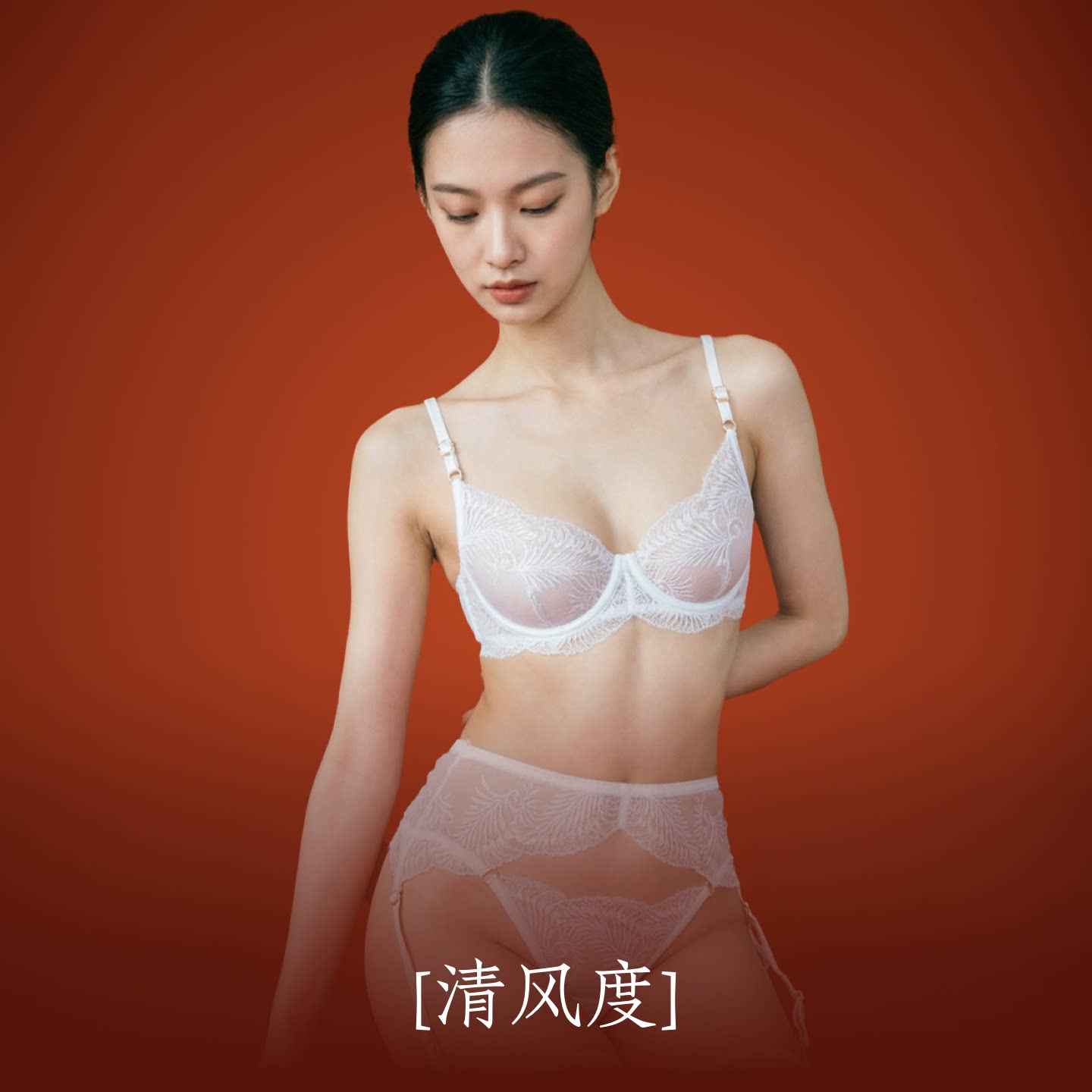 性感薄款刺绣网布文胸吊袜套装