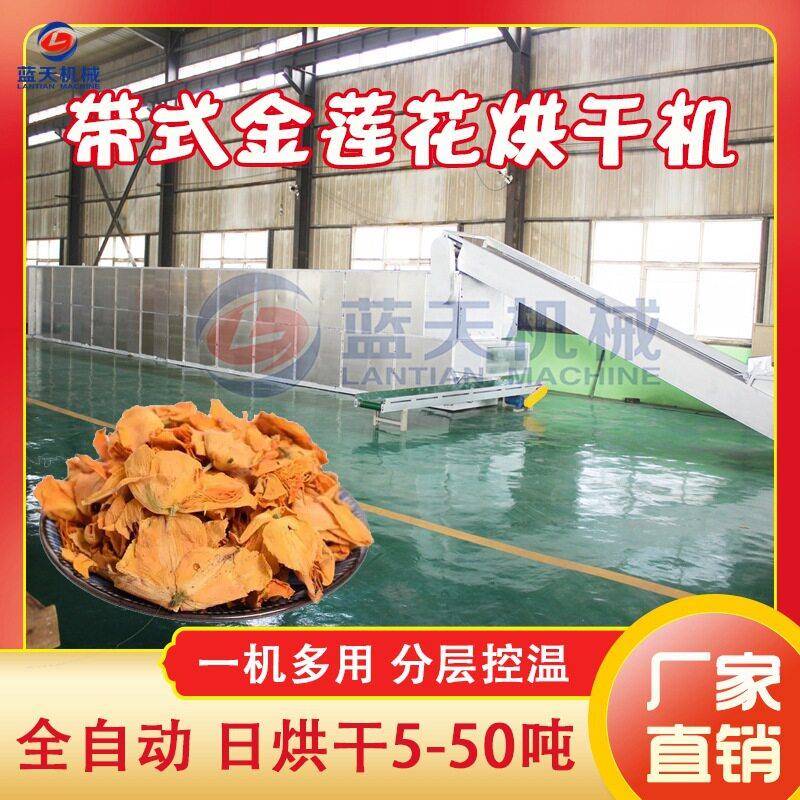 金莲花烘干机大型网带旱地莲金梅草旱荷干燥机金莲花茶烘干设备
