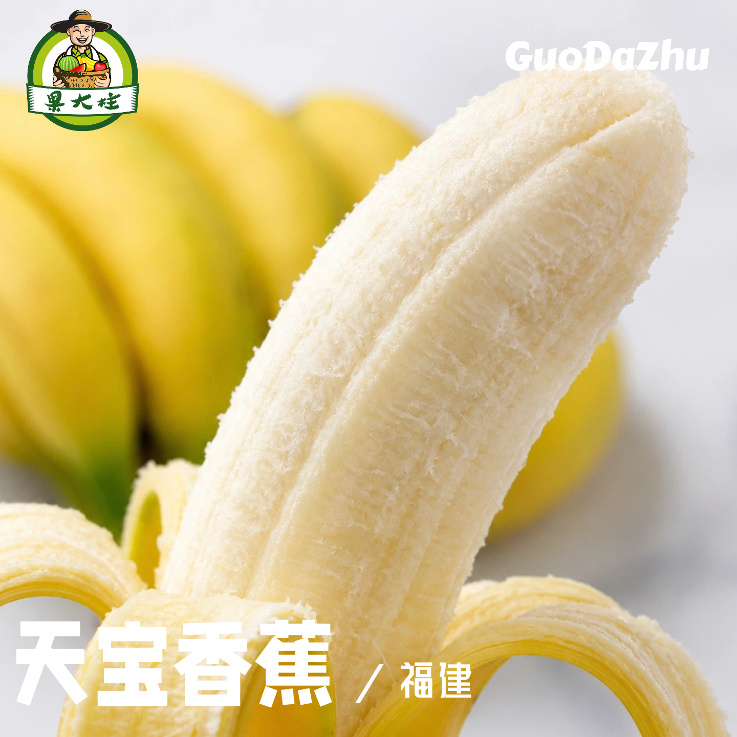 果大柱福建漳州天宝香蕉高山蕉新鲜水果香甜软糯当季现摘