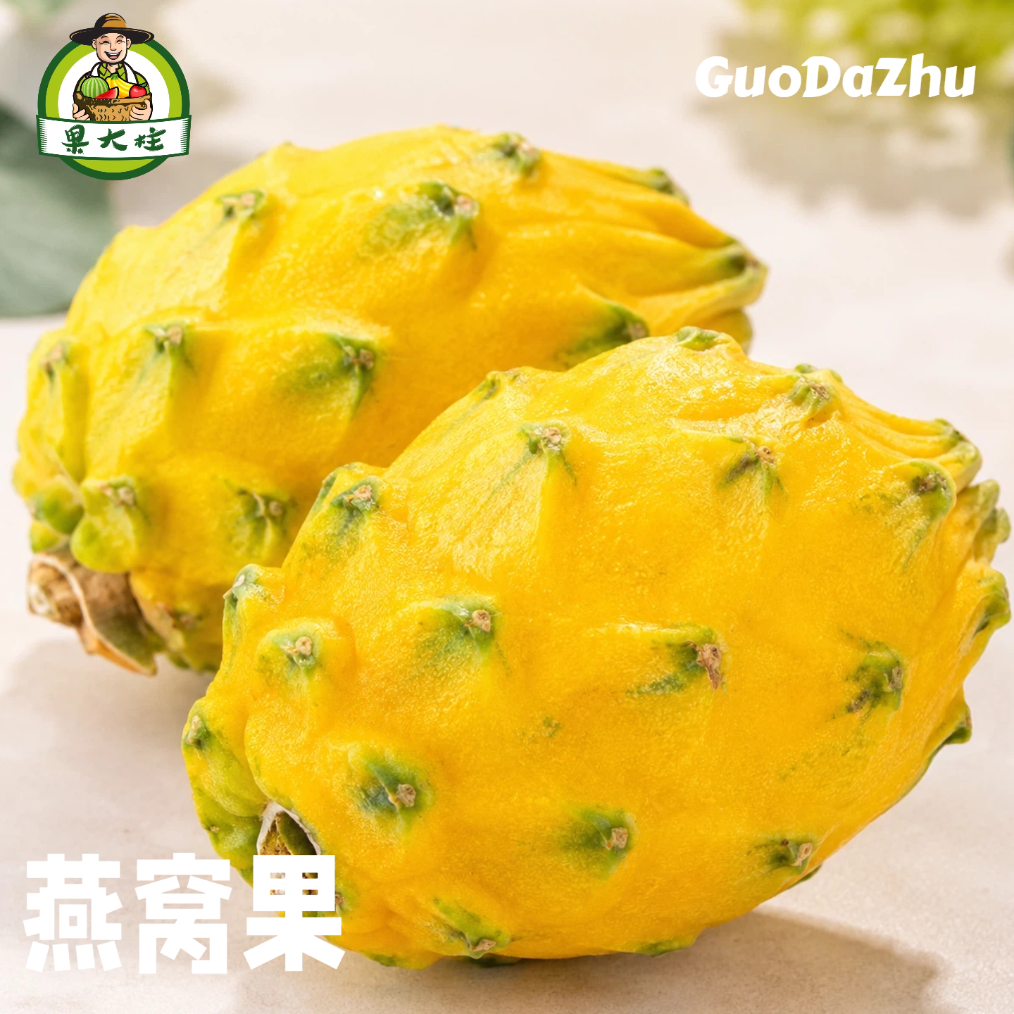果大柱当季现摘香甜多汁燕窝果