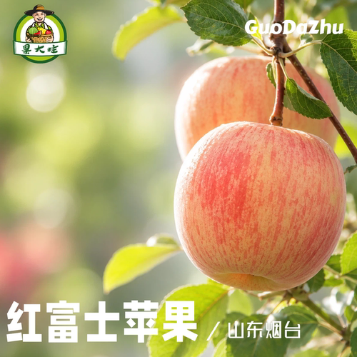 果大柱烟台红富士苹果直供