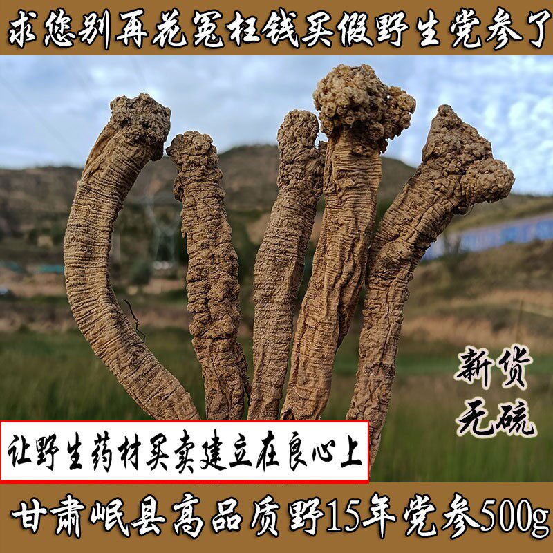 甘肃特级野生党参纯天然岷县党野党参狮子头土纹潞党参上党参500g