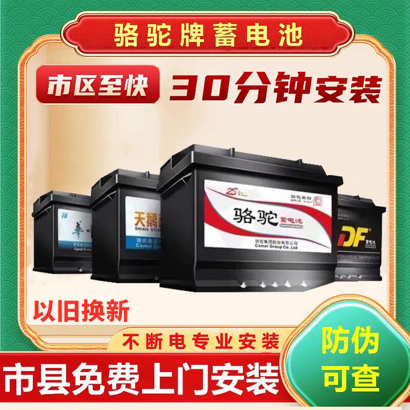 骆驼天鹅DF蓄电池12V60A汽车电瓶适配Toyota雷凌花冠Corolla比亚迪F3