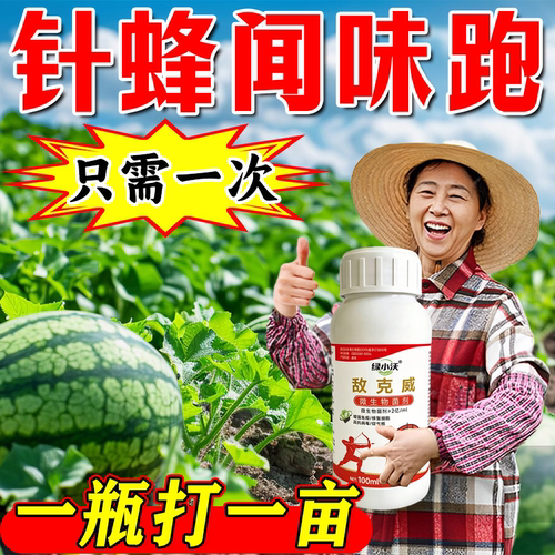 针蜂专用针蜂净丝瓜果实蝇蝇蛆药苦瓜果蝇专用药针蜂微生物菌剂