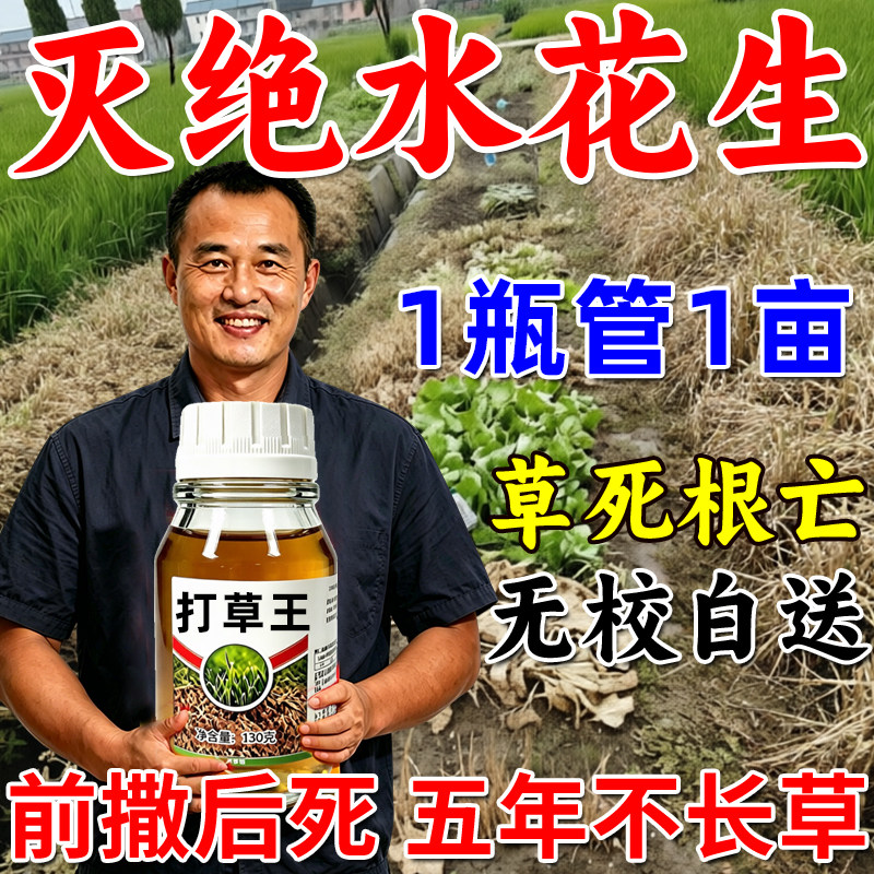 专打水花生根部渗透剂水花生革命草打草神器专治水花生杂草一扫清