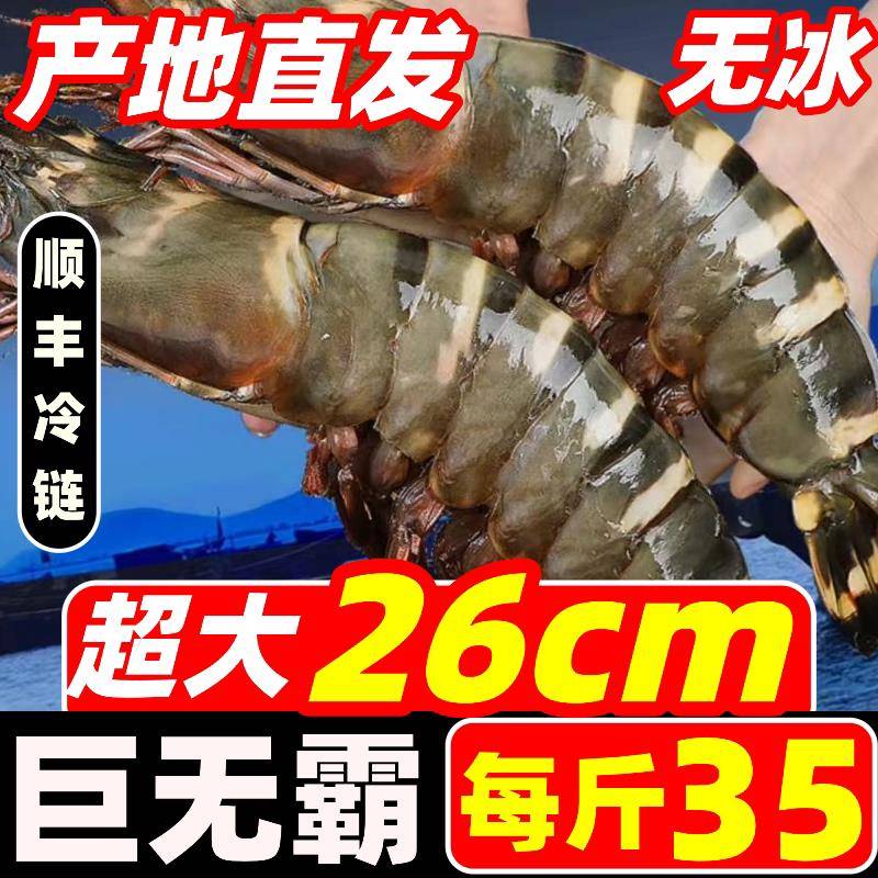黑虎虾大虾鲜活速冻超大特大老虎虾基围虾九节海鲜竹节虾深海大虾