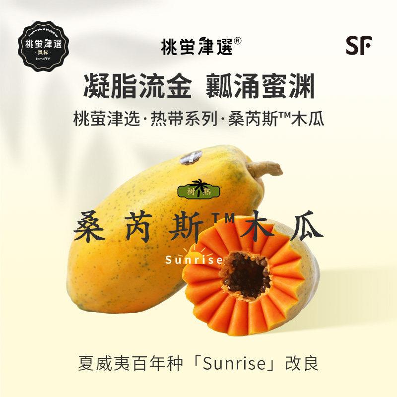 桃萤津选 桑芮斯™木瓜 红心冰糖甜 240天树上熟 三亚产 礼盒 SF
