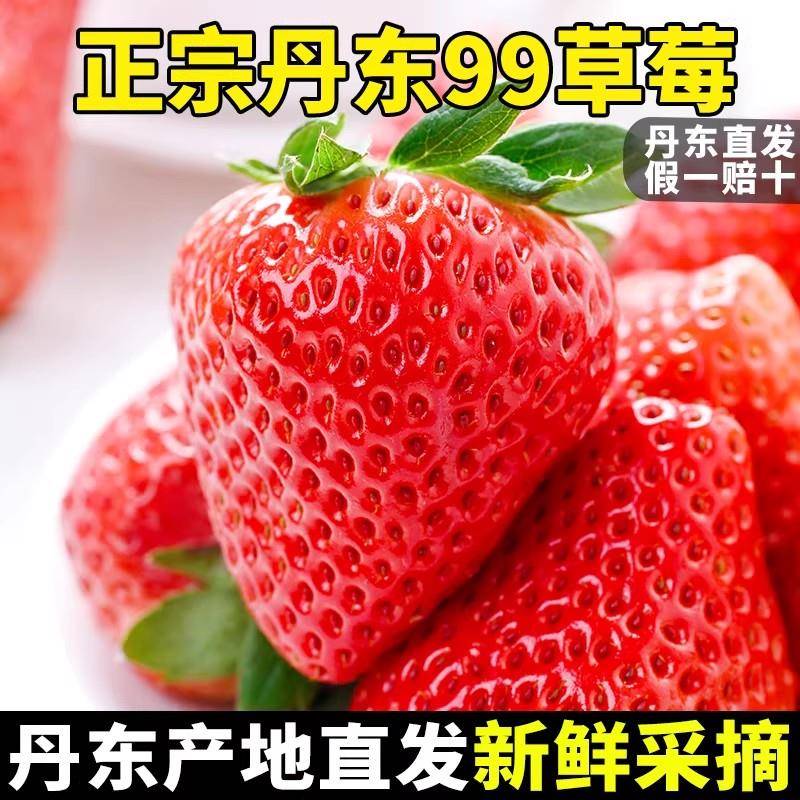 丹东草莓99红颜奶油草莓产地直发新鲜采摘