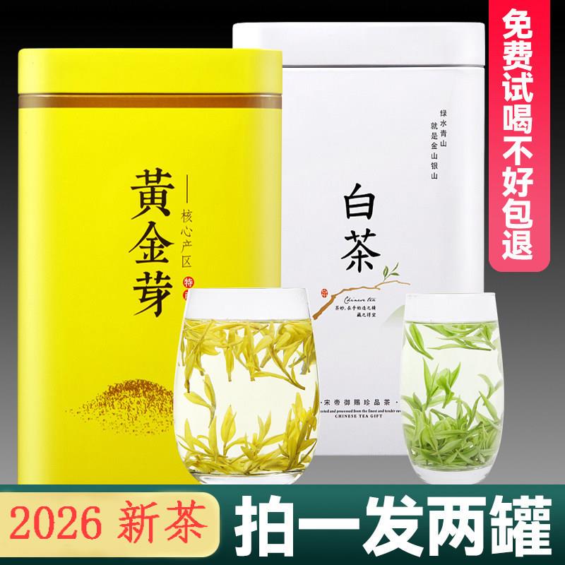 浙江丽水高山安吉白茶礼盒 鲜爽回甘兰花香绿茶 明前珍稀白化绿茶