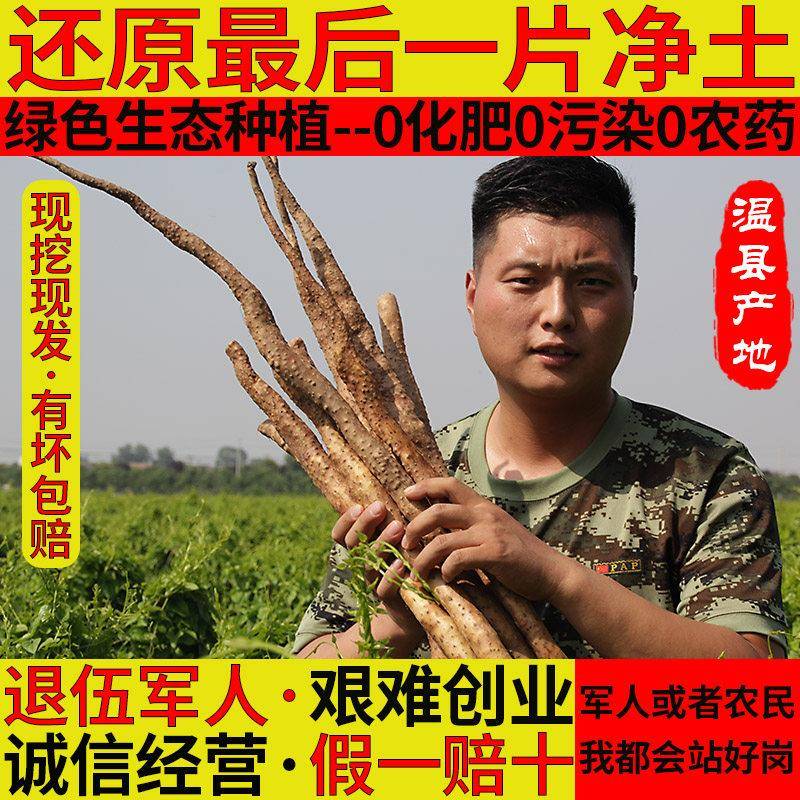 至尊垆土正宗铁棍山药河南省焦作市新鲜5斤温县产地直销怀山淮杆